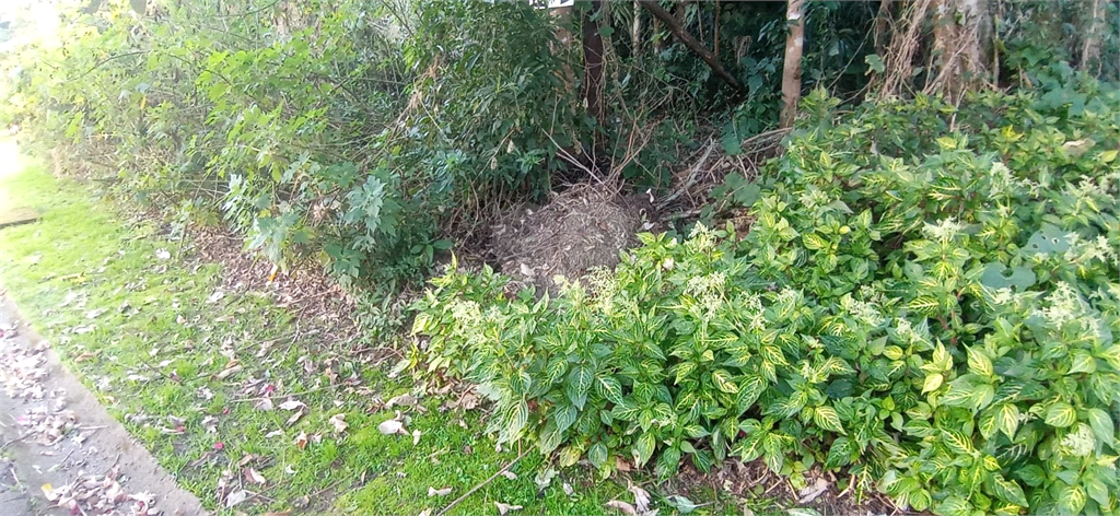 Venda Condomínio Mairiporã Caraguatá REO1031002 15