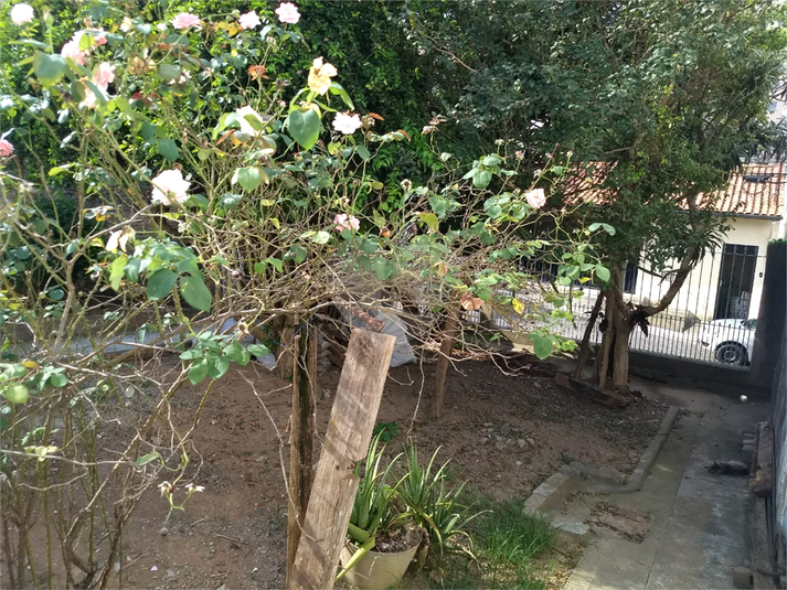 Foto REO1031075