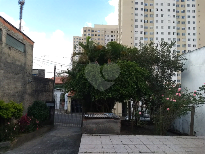 Foto REO1031075