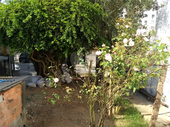 Foto REO1031075
