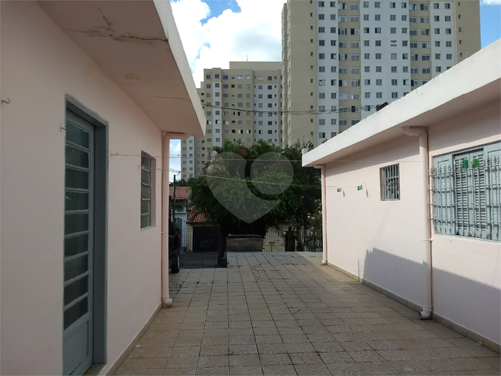 Foto REO1031075