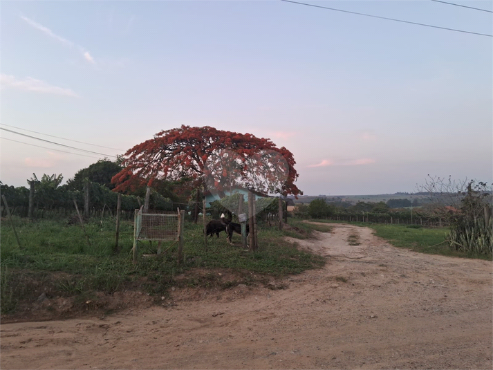 Venda Sítio Indaiatuba Mirim REO1031141 12