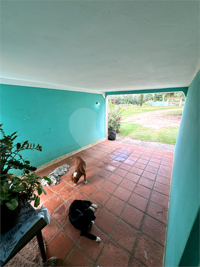 Foto REO1031141