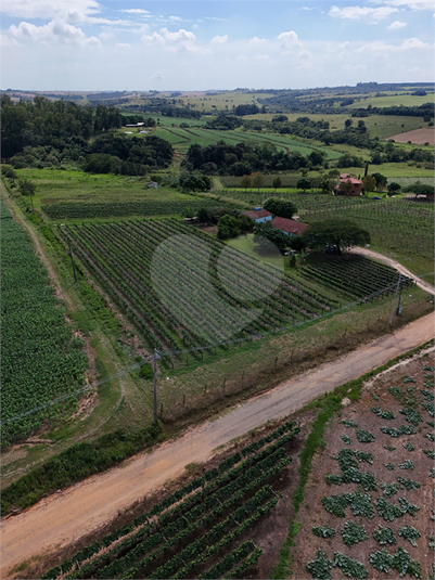Foto REO1031141