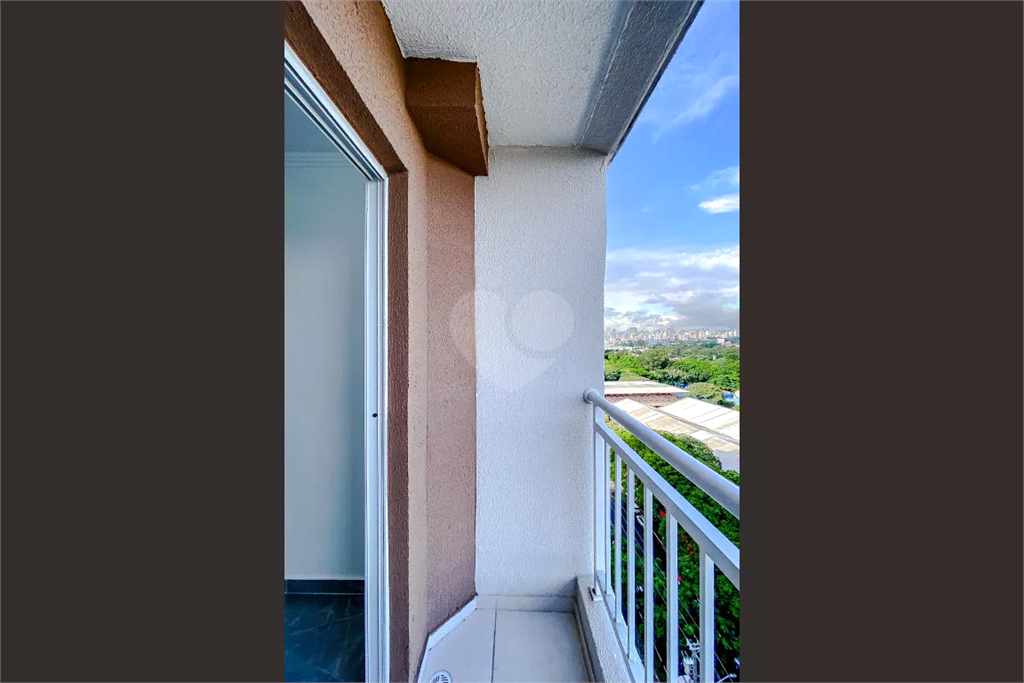 Aluguel Apartamento São Paulo Canindé REO1031273 13