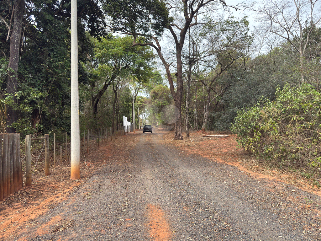 Venda Terreno Pederneiras Clube Dos Trinta REO1031279 3