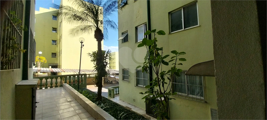 Venda Apartamento Jundiaí Residencial Terra Da Uva REO1031293 20