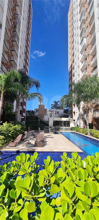 Venda Apartamento Jundiaí Parque União REO1031392 1