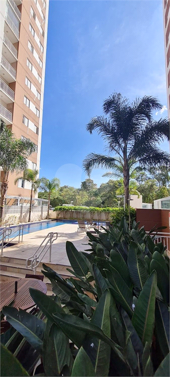 Venda Apartamento Jundiaí Parque União REO1031392 6