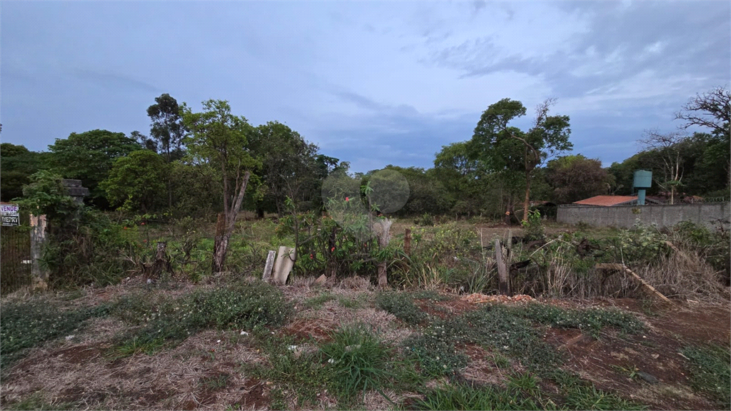 Venda Terreno Araraquara Chácara Velosa REO1031484 15