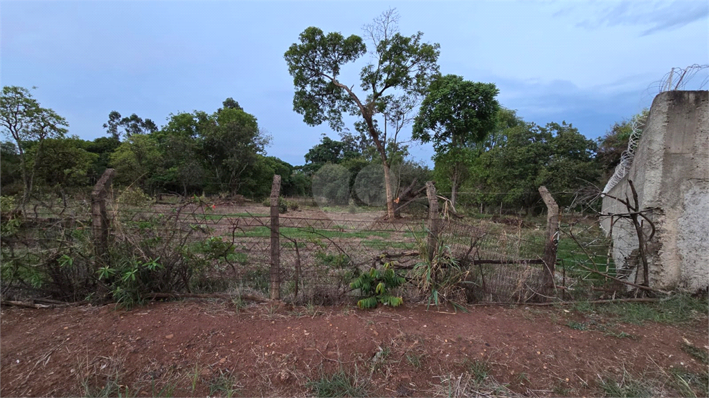 Venda Terreno Araraquara Chácara Velosa REO1031484 8