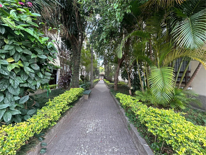 Foto REO1031486
