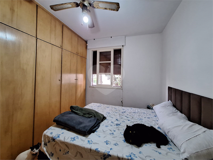 Foto REO1031486
