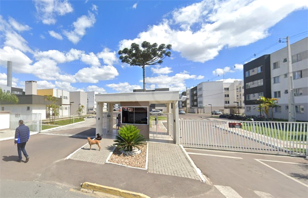 Venda Apartamento Campo Largo Jardim Itaqui REO1031545 1