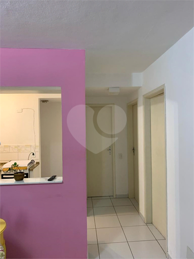 Foto REO1031568
