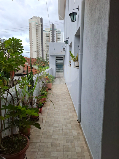 Foto REO1031640