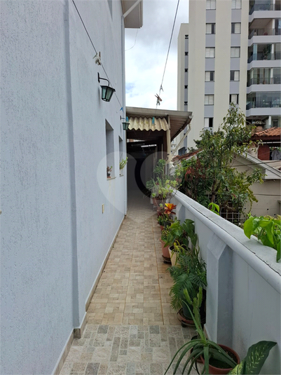 Foto REO1031640