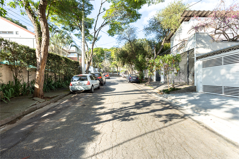 Foto REO1031673