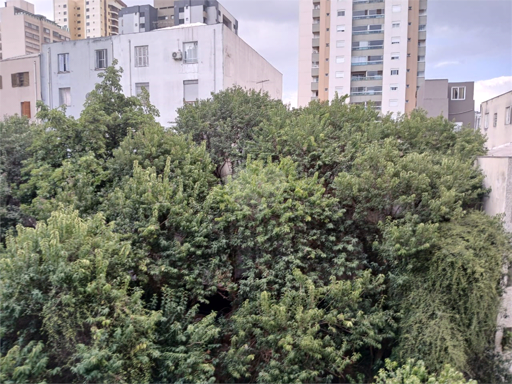 Aluguel Apartamento São Paulo Perdizes REO1031769 17