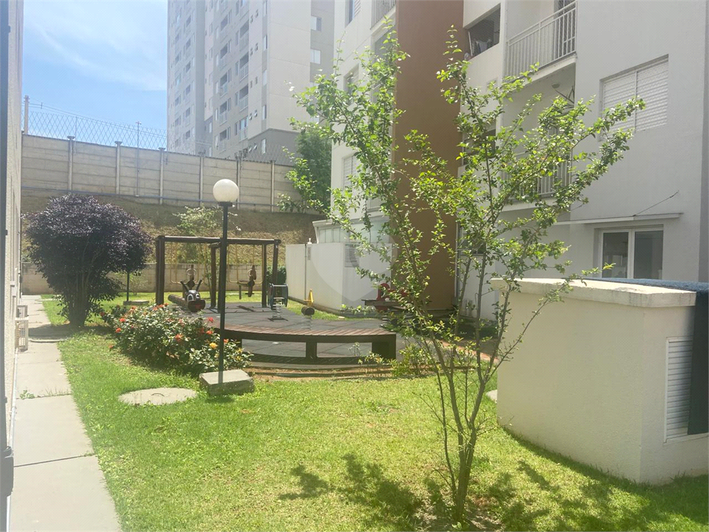 Venda Apartamento Valinhos Jardim Alto Da Boa Vista REO1031789 30