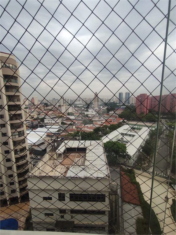 Aluguel Apartamento São Paulo Jardim Das Laranjeiras REO1031829 4