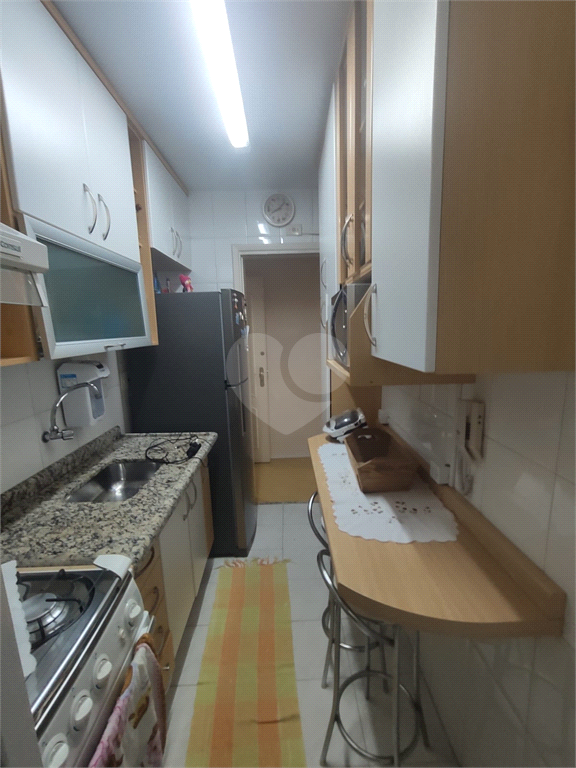 Aluguel Apartamento São Paulo Jardim Das Laranjeiras REO1031829 13