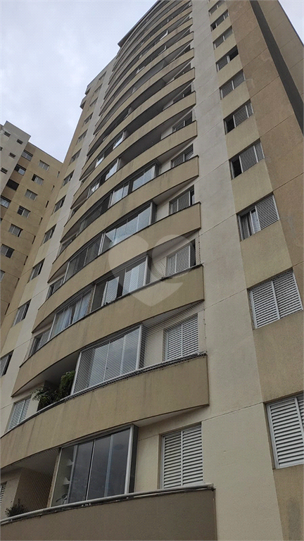 Aluguel Apartamento São Paulo Jardim Das Laranjeiras REO1031829 25