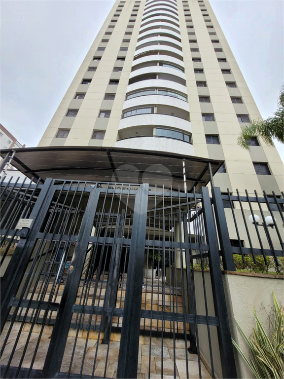 Aluguel Apartamento São Paulo Vila Hamburguesa REO1031838 30