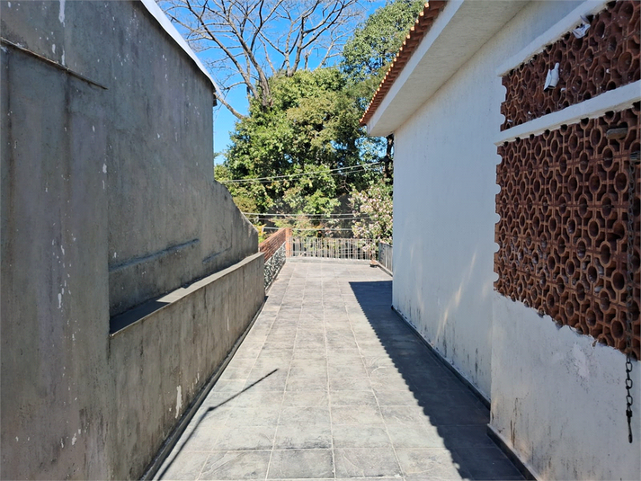 Foto REO1031884