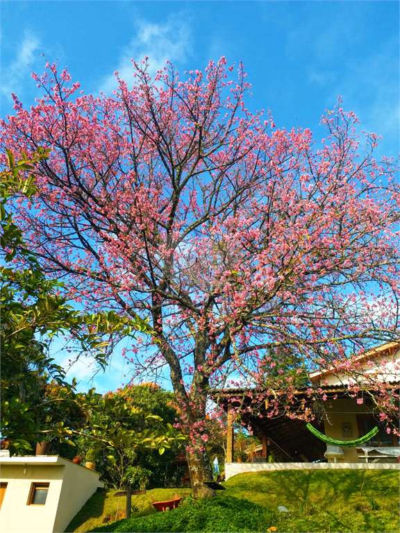 Venda Chácara Arujá Jardim Arujá REO1031891 8