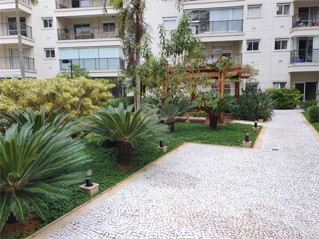 Aluguel Apartamento São Paulo Jardim Leonor REO1031930 39