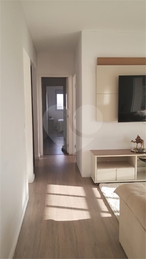 Foto REO1031940