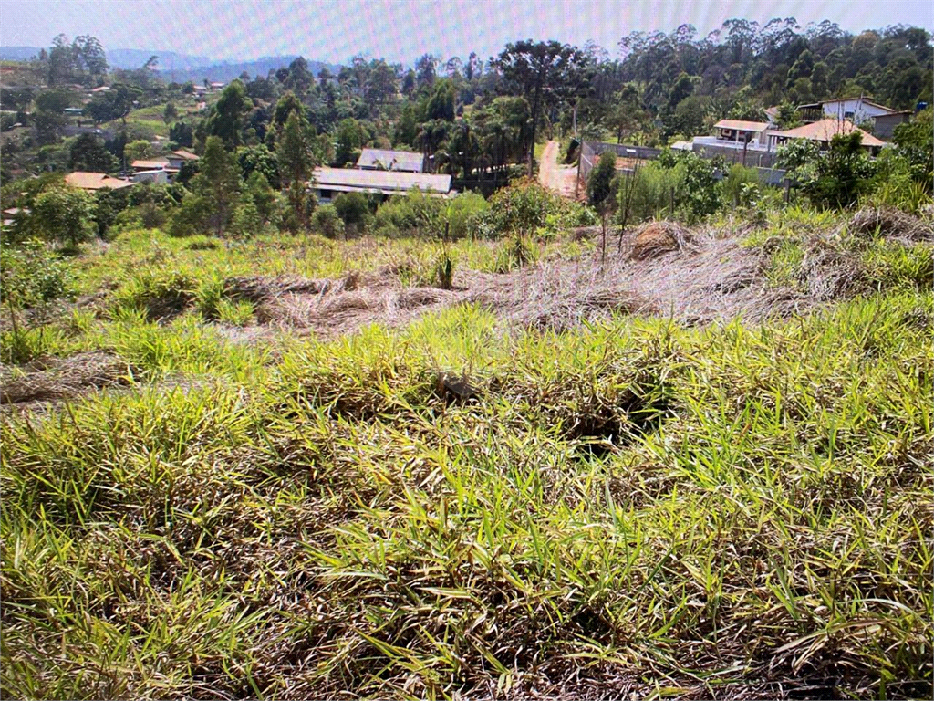 Venda Terreno Mairinque Pouso Alegre REO1032020 3