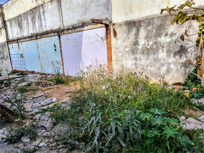 Foto REO1032032