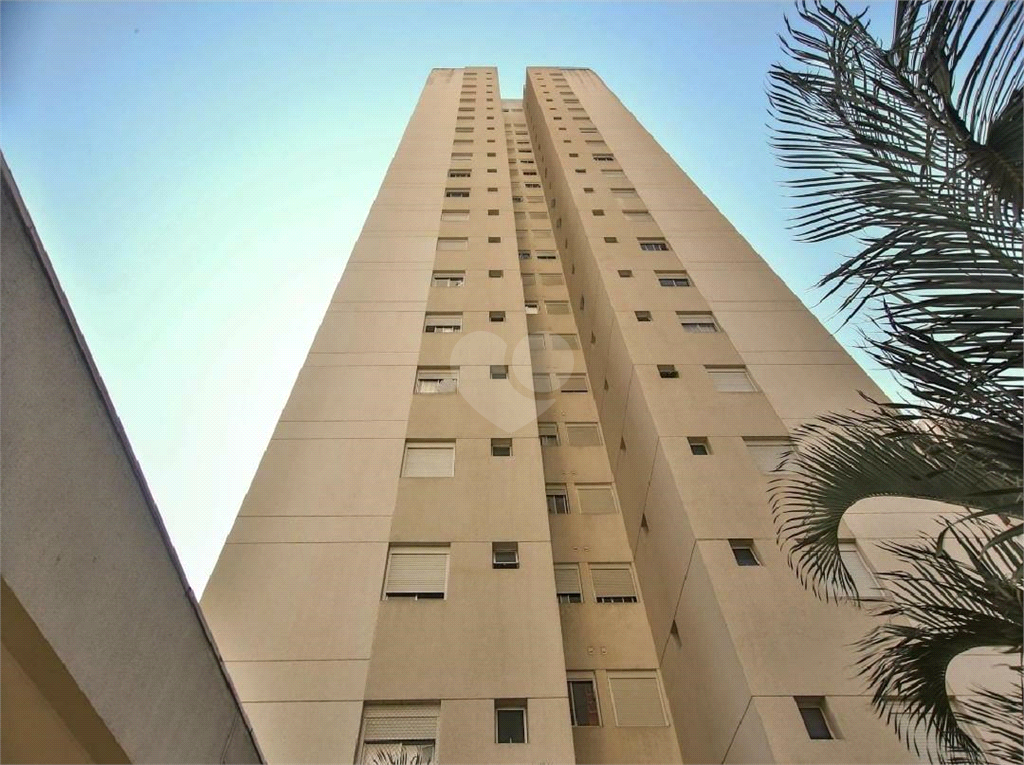 Venda Apartamento São Paulo Vila Firmiano Pinto REO1032152 24