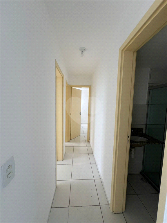 Aluguel Apartamento Maceió São Jorge REO1032175 5