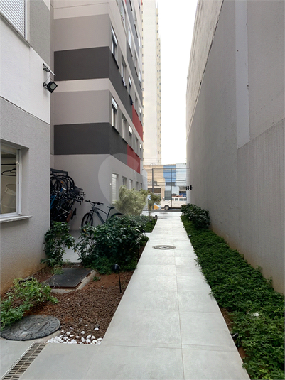Foto REO1032280