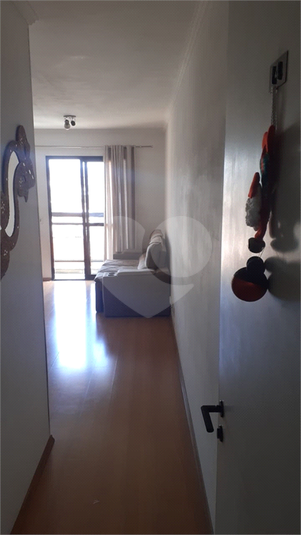 Foto REO1032327