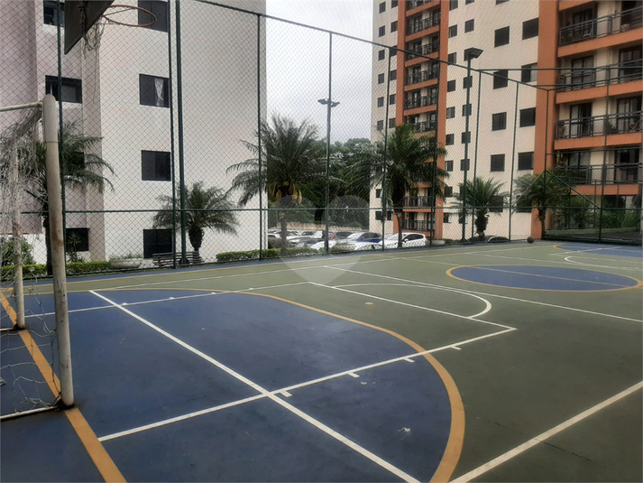 Foto REO1032327