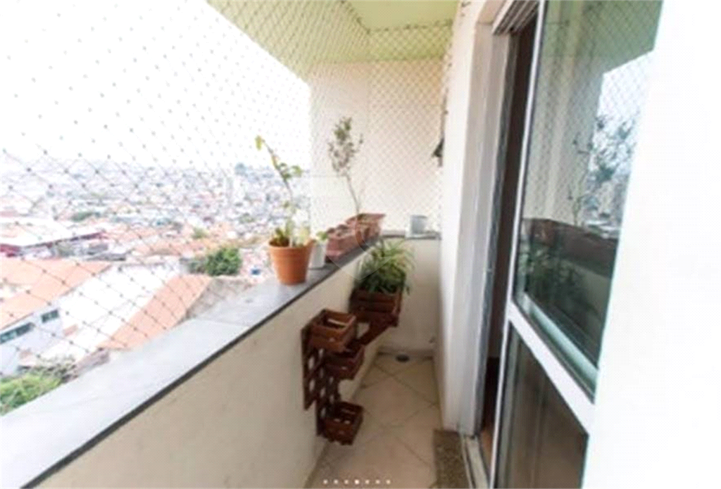 Venda Apartamento São Paulo Vila Medeiros REO1032507 8