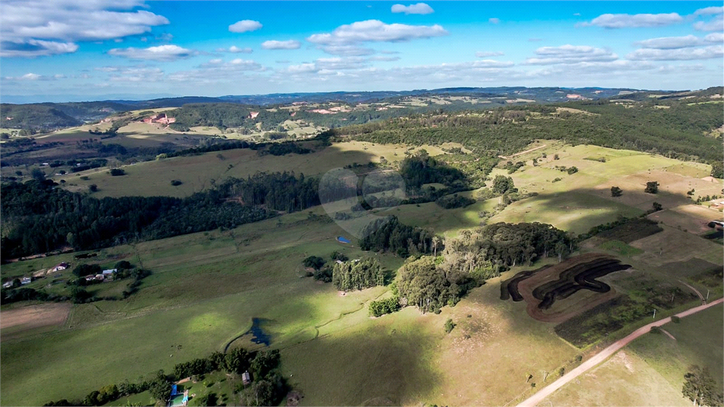 Venda Fazenda Novo Hamburgo Lomba Grande REO1032564 7