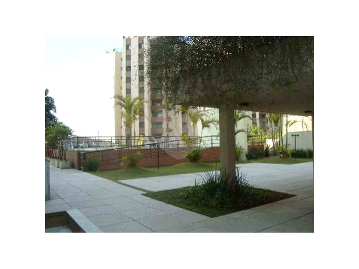Foto REO103257