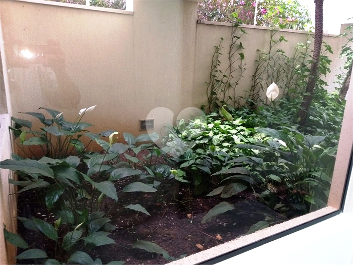 Foto REO103264
