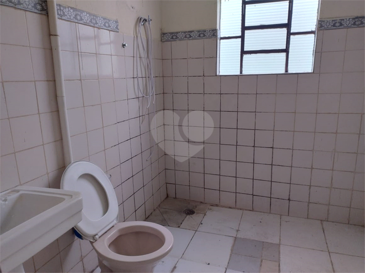 Foto REO1032649