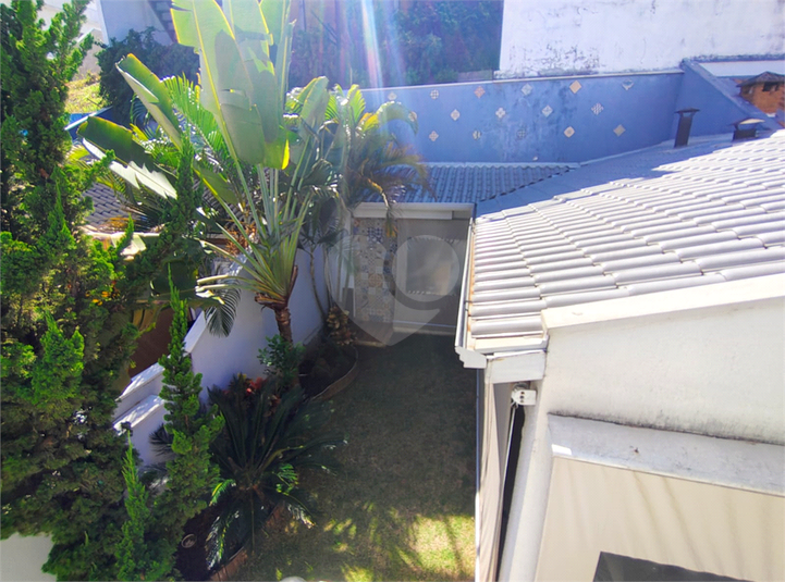 Foto REO1032707