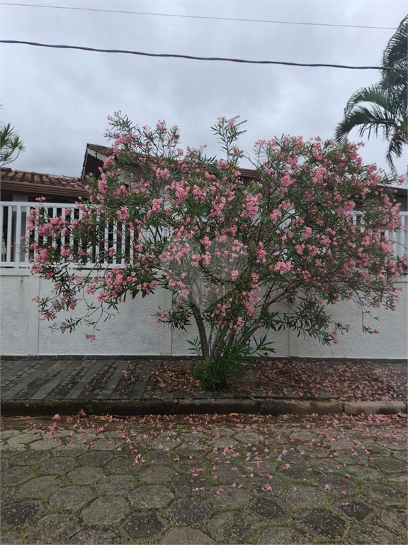 Venda Terreno Peruíbe Balneário Stella Maris REO1032733 6