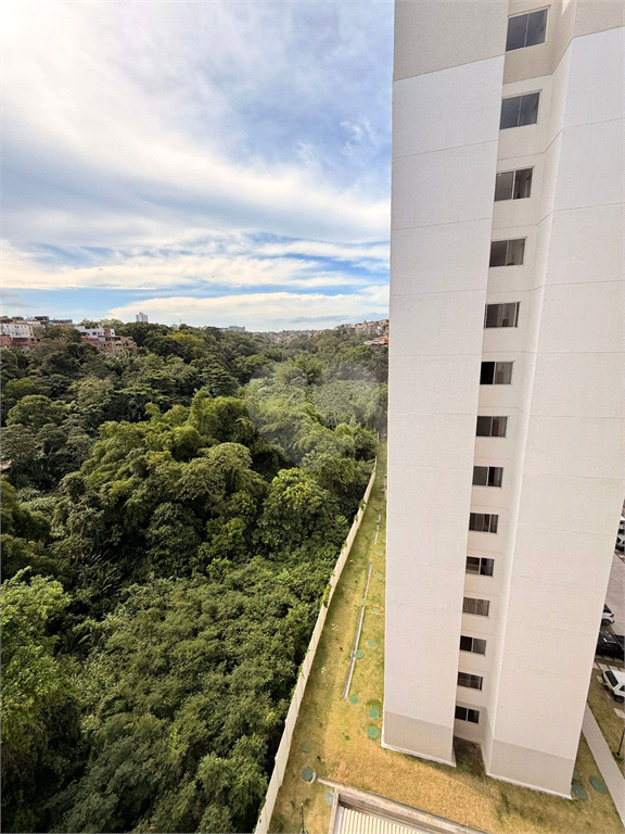 Venda Apartamento Salvador Narandiba REO1032740 5