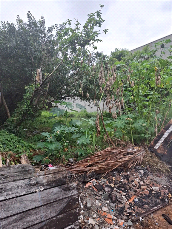 Venda Terreno Peruíbe Cidade Balneária Peruíbe/scipel REO1032770 6