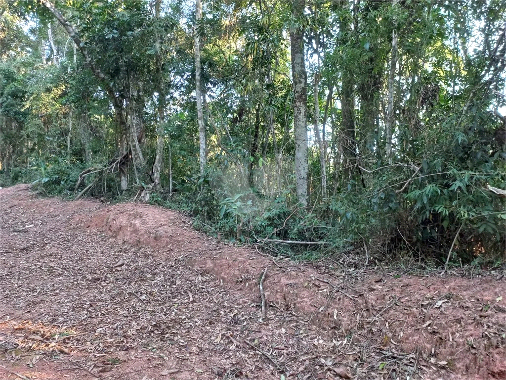 Venda Condomínio Mairiporã Roseira REO1032816 9