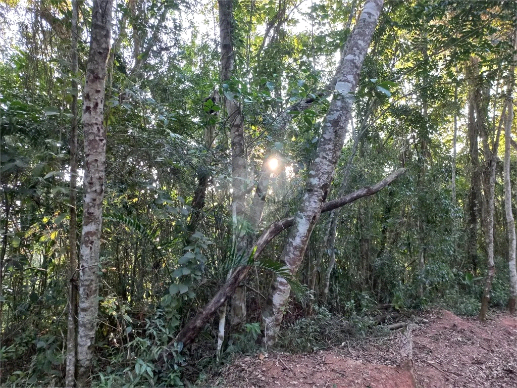 Venda Condomínio Mairiporã Roseira REO1032816 4